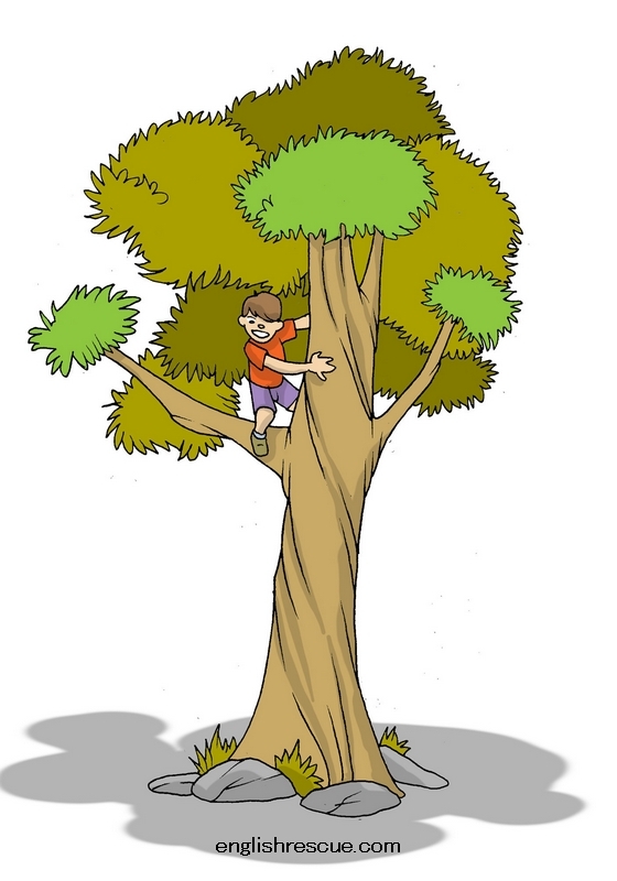 Can you climb a tree. Дерево иллюстрация. Дерево мультяшное. Дерево для детей.